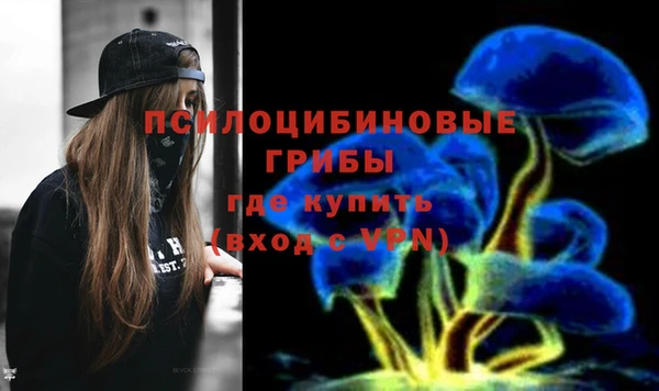 jwh Богородск