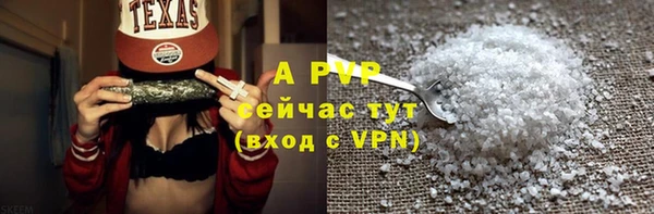 гидра Богородицк