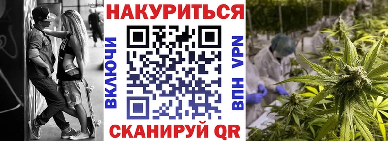 Марихуана сатива Макаров